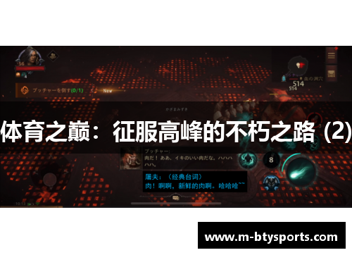 体育之巅：征服高峰的不朽之路 (2)