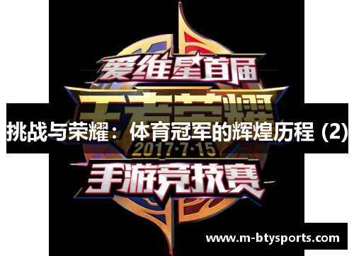 挑战与荣耀：体育冠军的辉煌历程 (2)